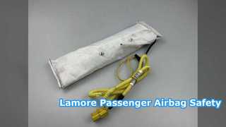 Changan Lamore Passenger Airbag 2023-2026